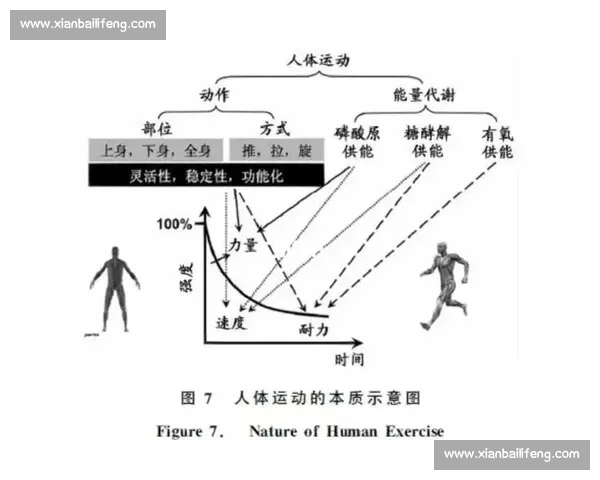 综合基于体育科学模型的运动表现评估与训练优化策略研究路径探索 综合基于体育科学模型的运动表现评估与训练优化策略研究路径探索