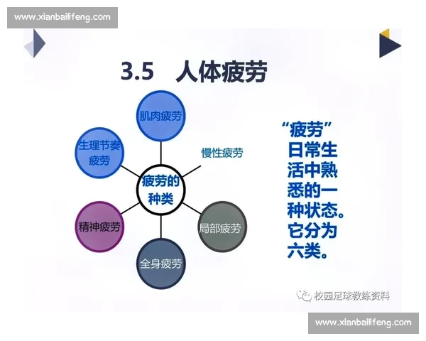 基于运动表现与体能数据的科学体育健康综合评估与提升策略研究探